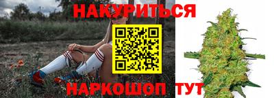 индика Кинель