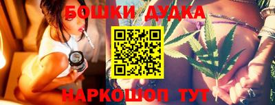 индика Кинель