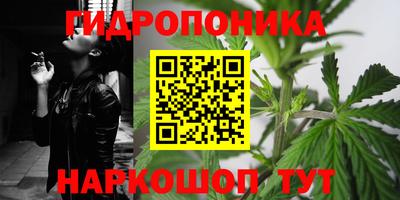 каннабис Кингисепп