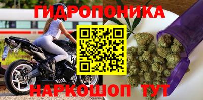 каннабис Кингисепп