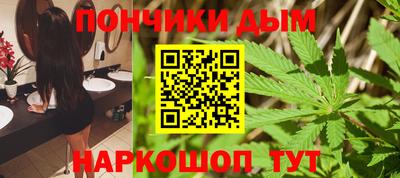 индика Кинель