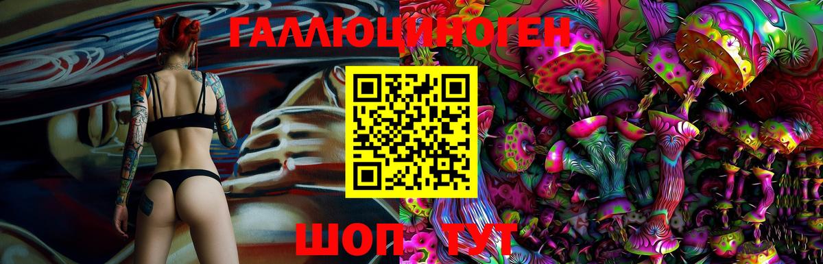 Галлюциногенные грибы GOLDEN TEACHER  Вход с VPN  Псилоцибиновые грибы Psilocybe  Котлас 