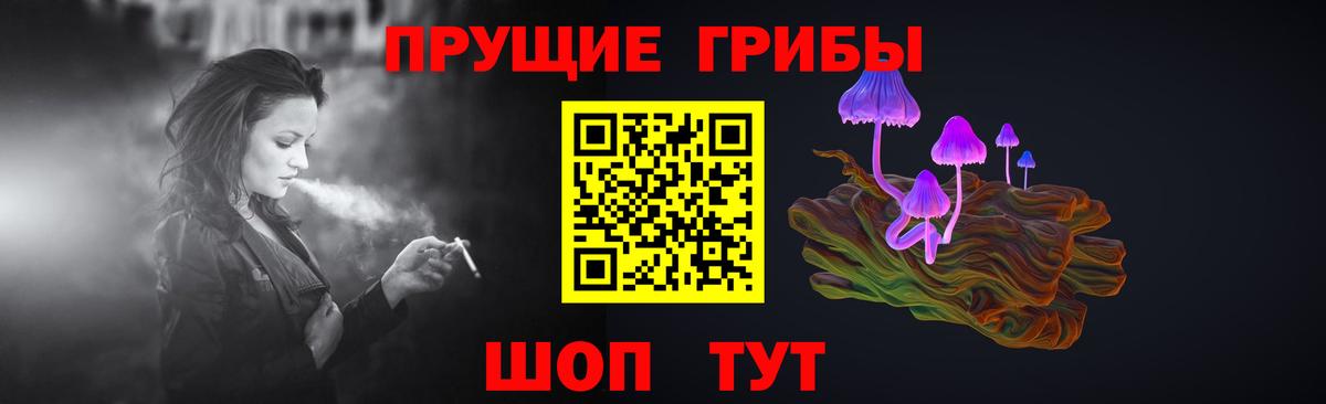 Псилоцибиновые грибы Cubensis Котлас